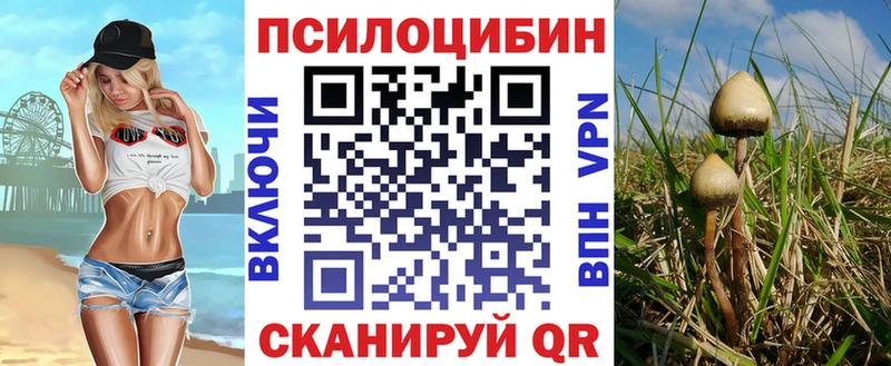 Купить закладки  Александровск  Галлюциногенные грибы мицелий 